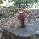 2015-04-24 15.31.40