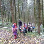 Lebenslauf eines Baumes 2