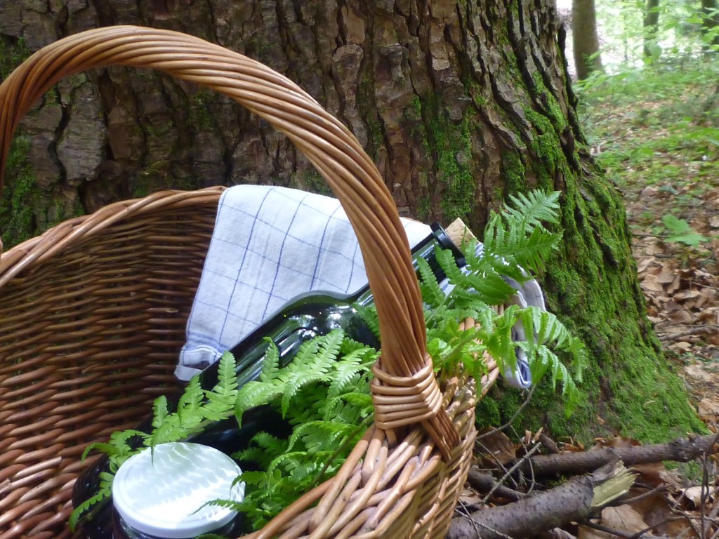 Picknick im Wald
